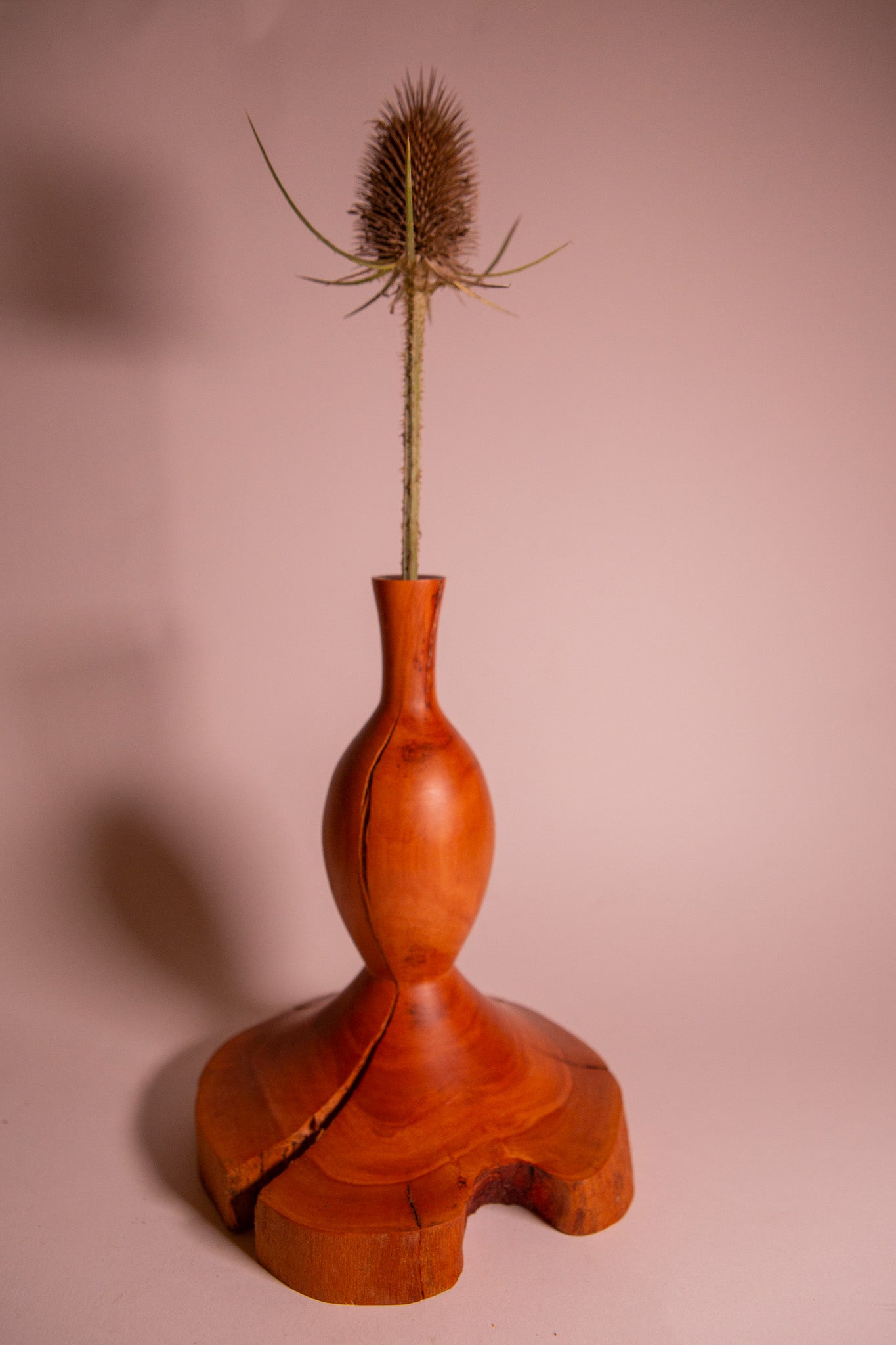 Rare Tree Heather Wood Vase with Natural Cracks