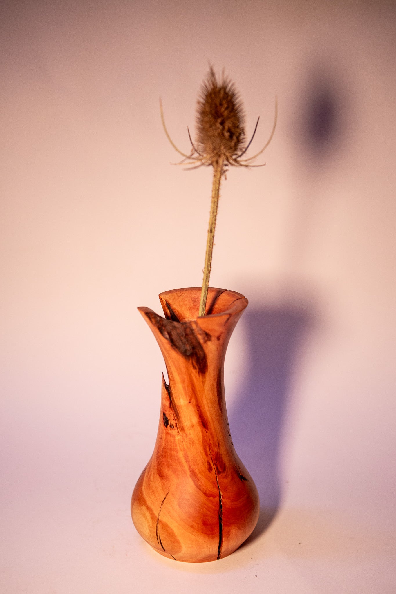 Tree Heather Wood Vase with Natural Formations