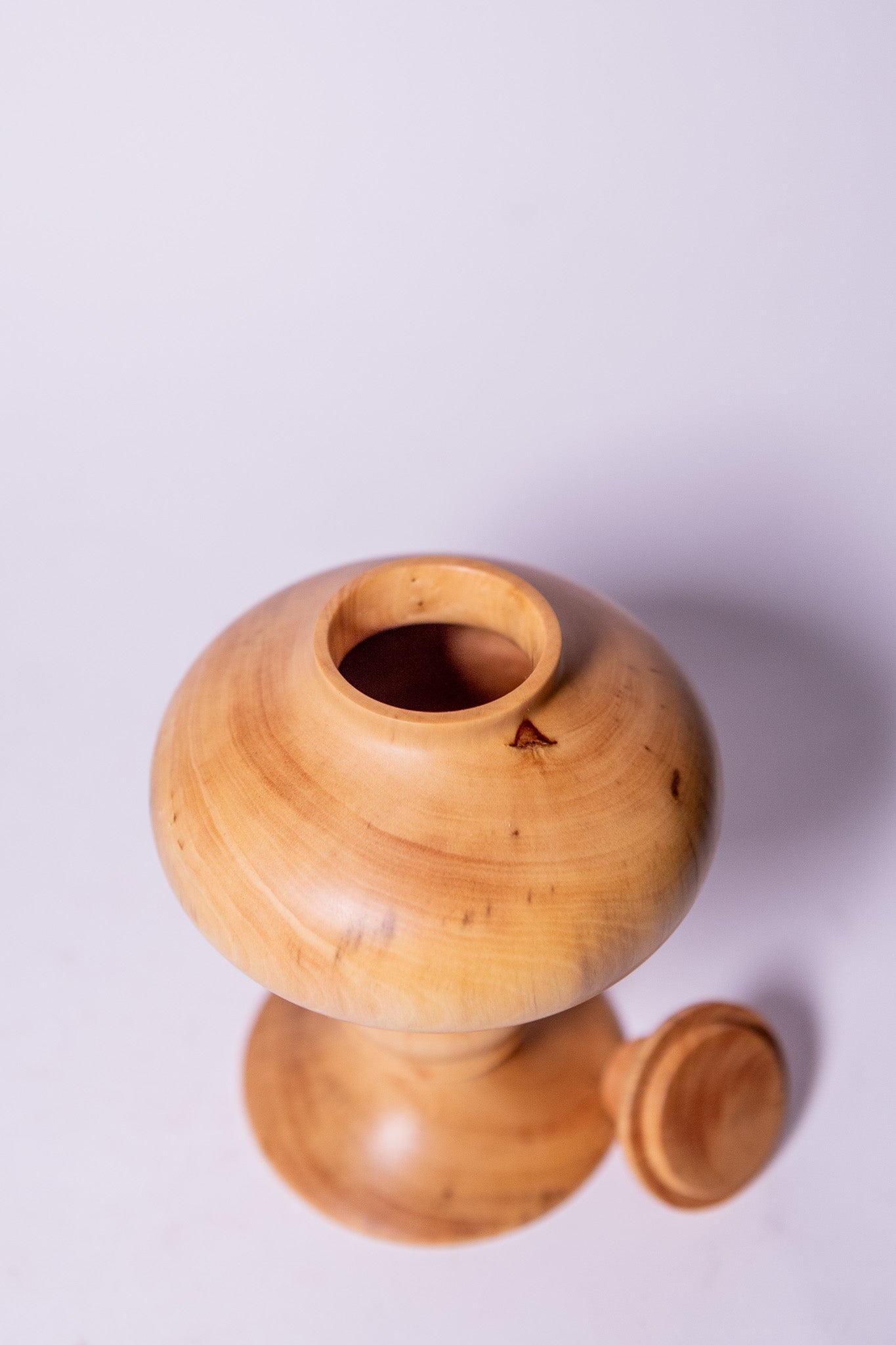 Unique Boxwood Ornament Pot