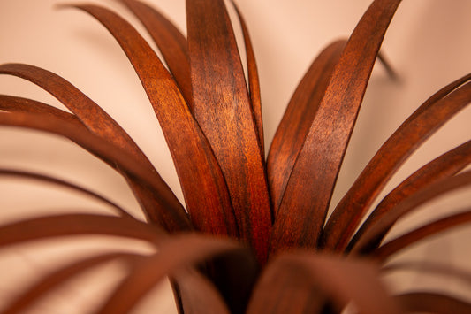 Agave Plant Shaped Candle Holder